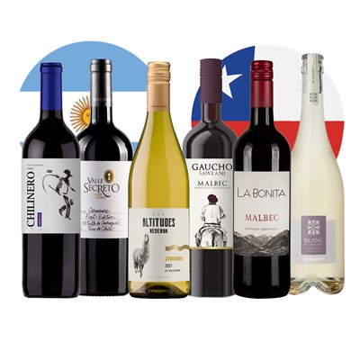 Experience South American Wine Case of 6